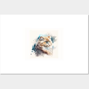 Persian Cat Watercolour Painting Posters and Art